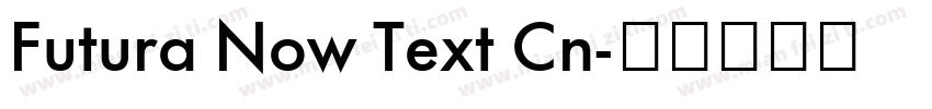 Futura Now Text Cn字体转换